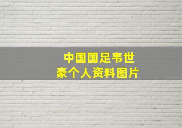 中国国足韦世豪个人资料图片