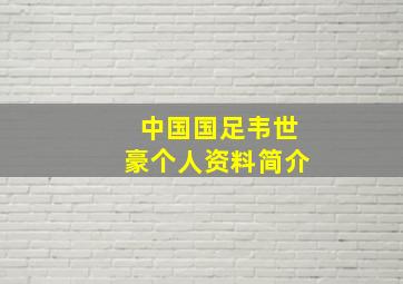 中国国足韦世豪个人资料简介