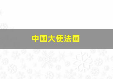 中国大使法国