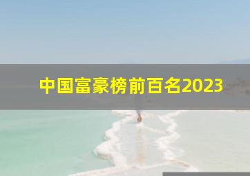 中国富豪榜前百名2023