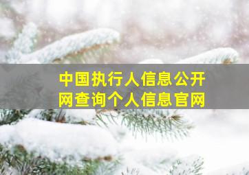 中国执行人信息公开网查询个人信息官网