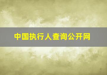 中国执行人查询公开网