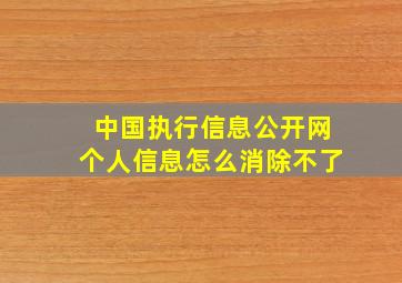 中国执行信息公开网个人信息怎么消除不了