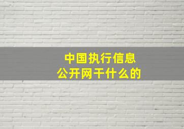 中国执行信息公开网干什么的