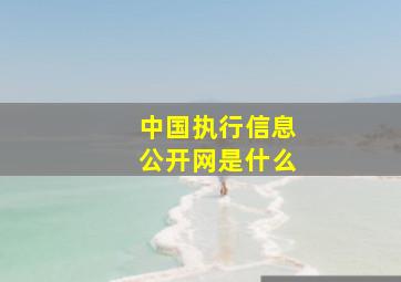 中国执行信息公开网是什么