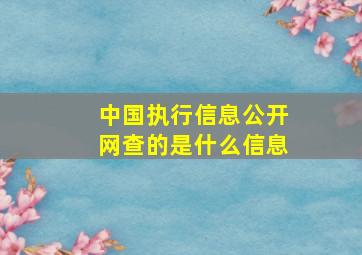 中国执行信息公开网查的是什么信息