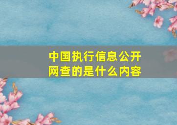 中国执行信息公开网查的是什么内容