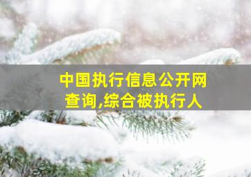 中国执行信息公开网查询,综合被执行人