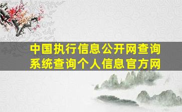 中国执行信息公开网查询系统查询个人信息官方网