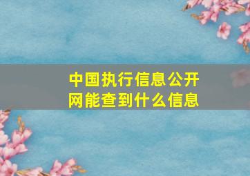 中国执行信息公开网能查到什么信息