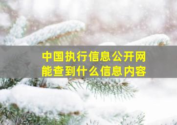 中国执行信息公开网能查到什么信息内容