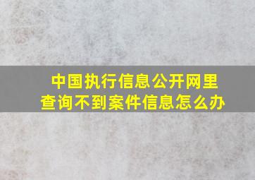 中国执行信息公开网里查询不到案件信息怎么办