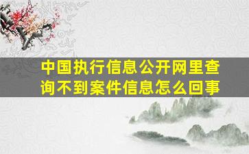 中国执行信息公开网里查询不到案件信息怎么回事