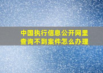 中国执行信息公开网里查询不到案件怎么办理