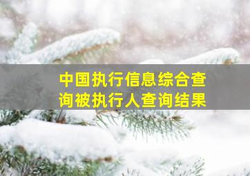 中国执行信息综合查询被执行人查询结果