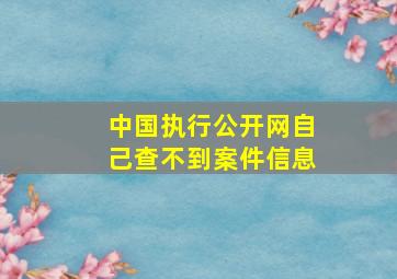 中国执行公开网自己查不到案件信息