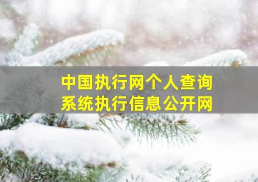 中国执行网个人查询系统执行信息公开网