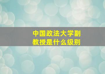 中国政法大学副教授是什么级别