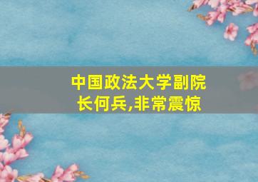 中国政法大学副院长何兵,非常震惊