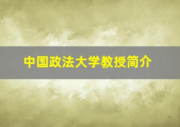 中国政法大学教授简介