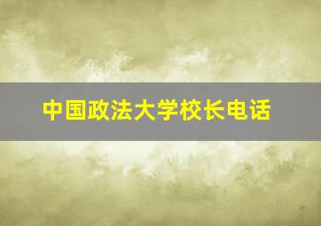 中国政法大学校长电话