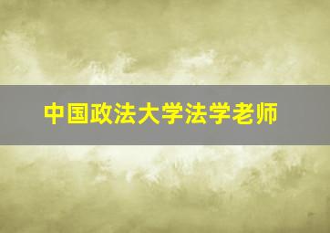 中国政法大学法学老师