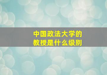 中国政法大学的教授是什么级别