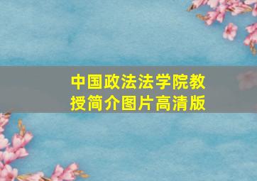 中国政法法学院教授简介图片高清版