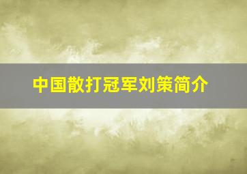 中国散打冠军刘策简介