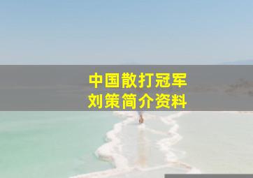 中国散打冠军刘策简介资料