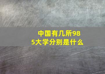 中国有几所985大学分别是什么