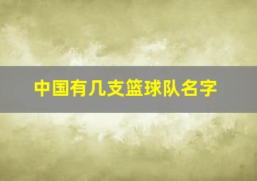 中国有几支篮球队名字