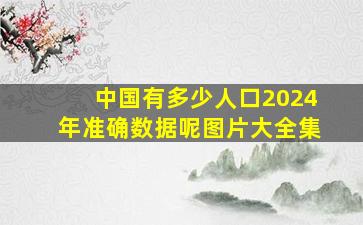 中国有多少人口2024年准确数据呢图片大全集