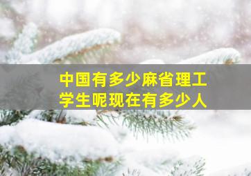 中国有多少麻省理工学生呢现在有多少人