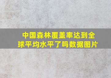 中国森林覆盖率达到全球平均水平了吗数据图片