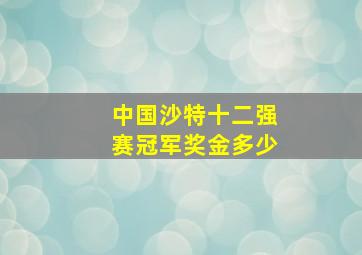 中国沙特十二强赛冠军奖金多少