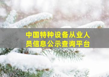 中国特种设备从业人员信息公示查询平台