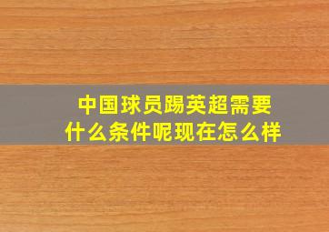 中国球员踢英超需要什么条件呢现在怎么样