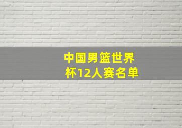 中国男篮世界杯12人赛名单