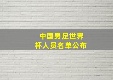 中国男足世界杯人员名单公布