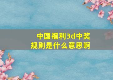 中国福利3d中奖规则是什么意思啊