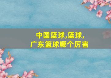 中国篮球,篮球,广东篮球哪个厉害