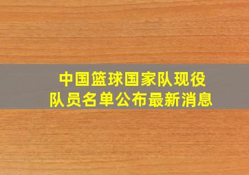 中国篮球国家队现役队员名单公布最新消息