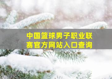 中国篮球男子职业联赛官方网站入口查询