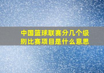 中国篮球联赛分几个级别比赛项目是什么意思