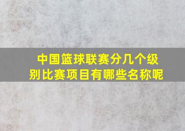 中国篮球联赛分几个级别比赛项目有哪些名称呢