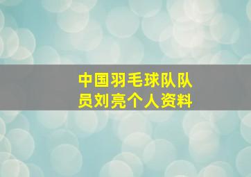 中国羽毛球队队员刘亮个人资料