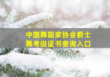 中国舞蹈家协会爵士舞考级证书查询入口