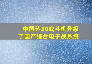 中国苏30战斗机升级了国产综合电子战系统