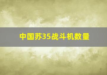 中国苏35战斗机数量